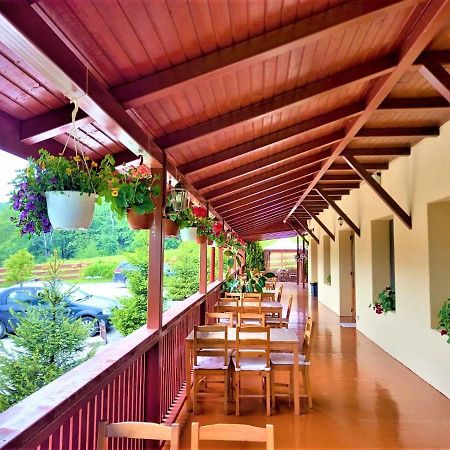 Pensiunea Castania - Pensiune Cu Piscina La Munte Polovragi Kültér fotó