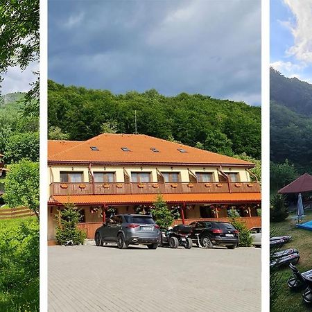 Pensiunea Castania - Pensiune Cu Piscina La Munte Polovragi Kültér fotó
