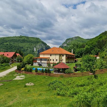 Pensiunea Castania - Pensiune Cu Piscina La Munte Polovragi Kültér fotó