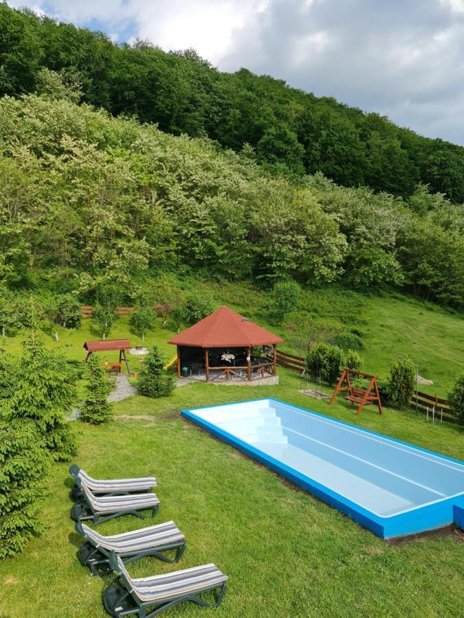 Pensiunea Castania - Pensiune Cu Piscina La Munte Polovragi Kültér fotó