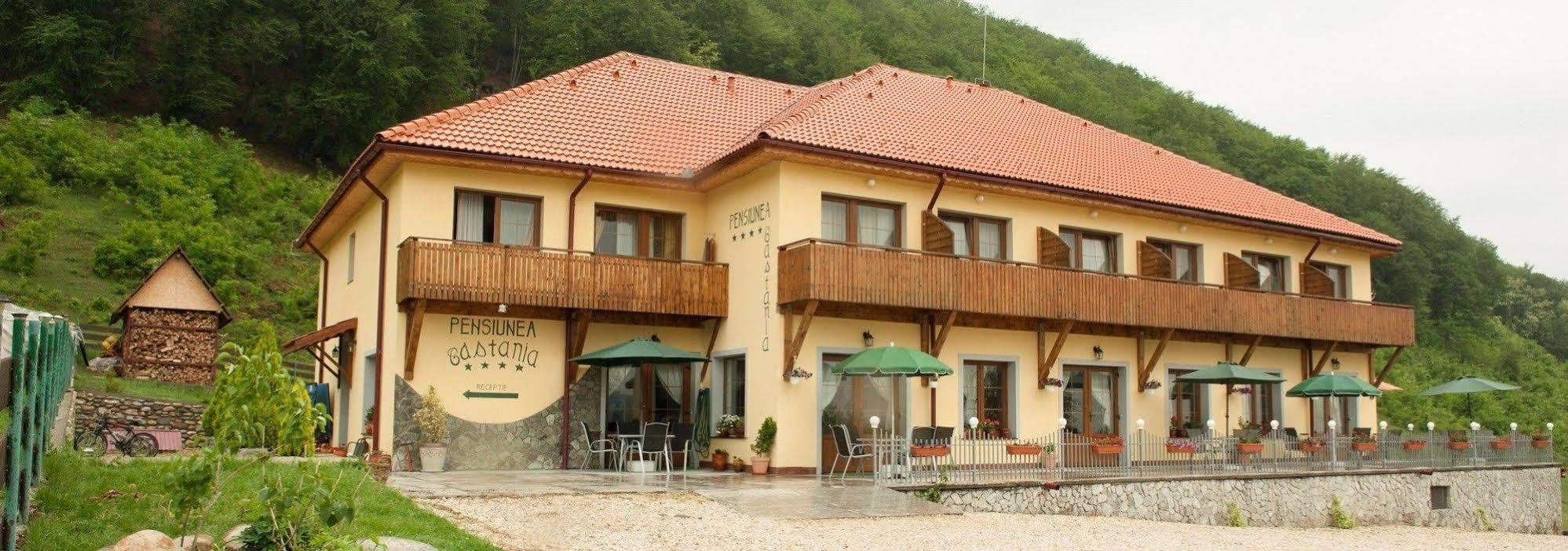 Pensiunea Castania - Pensiune Cu Piscina La Munte Polovragi Kültér fotó